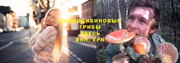 Альфа ПВП Алексеевка