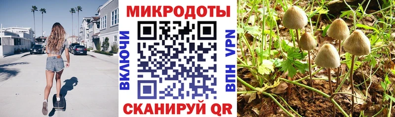 Галлюциногенные грибы Psilocybe  блэк спрут онион  Дрезна 